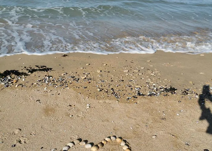 Deliv'love * Douvres-la-Délivrande